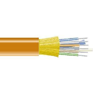 Black Box 12 Core Distribution-Style Bulk Fiber Optic Cables EXP012A-0500