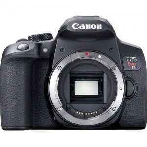 Canon EOS Rebel (Body Only) 3924C001 T8i