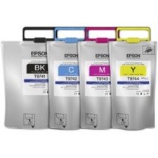 Epson DURABrite Pro Ink Cartridge T974220 T974