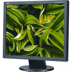 NEC Display 19" Value Desktop Monitor with LED Backlighting AS194MI-BK