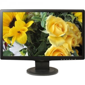 ORION Images Economy LED Monitor 23REDE