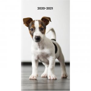Rediform Dog Cover 18-month Pocket Planner CA41202 REDCA41202
