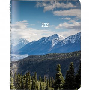 Rediform Monthly Planner CB1262G04 REDCB1262G04