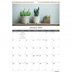 Rediform Succulent Plants Wall Calendar C173121 REDC173121