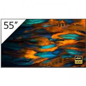 Sony Pro 55-inch BRAVIA 4K Ultra HD HDR Professional Display FW55BZ40H