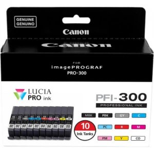 Canon 10-Color Ink Value Pack 4192C007 PFI-300