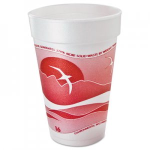 Dart Horizon Foam Cup, Hot/Cold, 16oz., Printed, Cranberry/White, 25/Bag, 40/CT DCC16J16H 16J16H