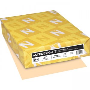 Astro 65 lb Cardstock 92049 WAU92049