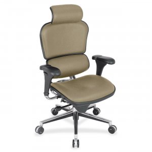 Eurotech ergohuman High Back Executive Chair LE9ERGEXPLAT LE9ERG