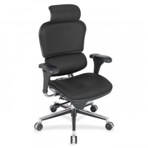 Eurotech ergohuman High Back Executive Chair LE9ERGEXPTUX LE9ERG