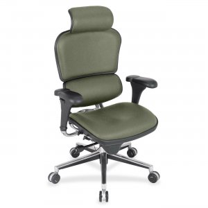 Eurotech ergohuman High Back Executive Chair LE9ERGSHISAG LE9ERG