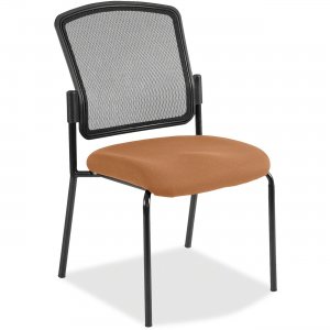 Eurotech Dakota 2 Guest Chair 7014ABSSAN 7014