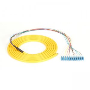 Black Box OS2 9-Micron Single-Mode Fiber Optic Pigtail - 12-Strand, OFNR, PVC FOPT50S1-LC-12YL-3