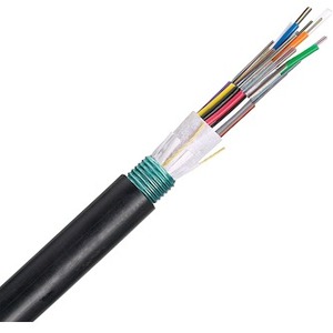 Panduit Fiber Optic Network Cable FSWN924