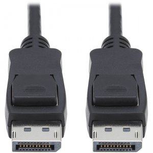 Tripp Lite DisplayPort A/V Cable P580-001-V4
