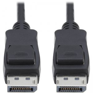 Tripp Lite DisplayPort A/V Cable P580-010-V4