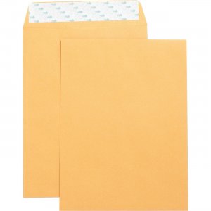 Business Source Catalog Envelope 42120 BSN42120