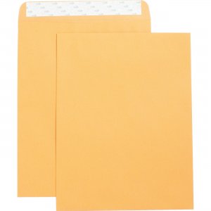 Business Source Catalog Envelope 42121 BSN42121