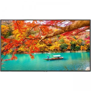 Sharp NEC Display 43" Wide Color Gamut Ultra High Definition Professional Display with PCAP Touch MA431-PT