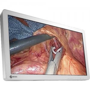 Eizo CuratOR WideScreen LCD Monitor EX2721