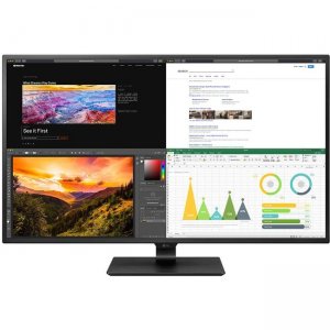 LG Widescreen LCD Monitor 43BN70U-B