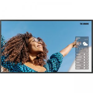 Sharp 43" Class 4K Ultra-HD TFT LCD Professional Display, High Brightness PNHS431