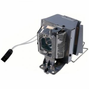 BTI Projector Lamp BL-FU195A-BTI