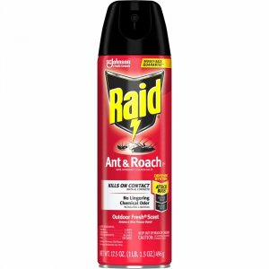 Raid Ant & Roach Killer Spray 366000 SJN366000