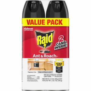 Raid Ant & Roach Killer Spray 370913 SJN370913