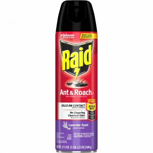 Raid Ant & Roach Killer Spray 365982 SJN365982