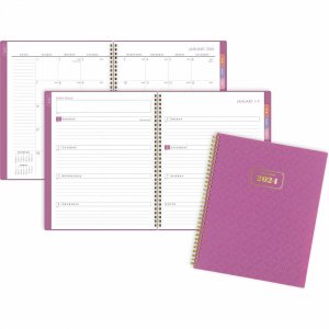 At-A-Glance Badge Weekly/Monthly Planner 1675T905 AAG1675T905