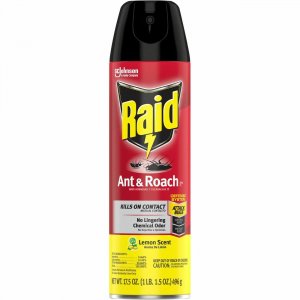 Raid Ant & Roach Killer Spray 365988 SJN365988