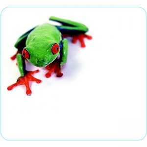 Allsop NatureSmart Image Mousepad - Tree Frog 29371
