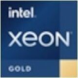 Intel Xeon Gold Dodeca-core 2 GHz Server Processor PK8071305554700 5403N