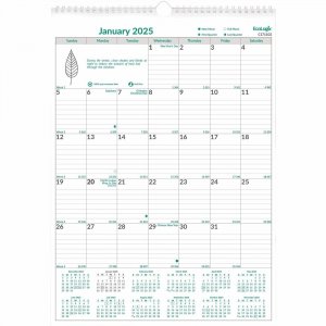 Brownline EcoLogix® Monthly Wall Calendar 12" x 17" English C171103 REDC171103