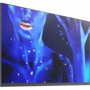 Sharp NEC Display Digital Signage Display LED-FA012I2-110