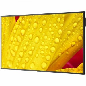 Sharp NEC Display 65" Ultra High Definition Professional Display M651-2